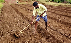 ಬಾರದ ಮಳೆ: ಮೊಳಕೆ ಒಡೆಯದ ಬಿತ್ತಿದ ಬೆಳೆ... ಕಂಗಾಲದ ರೈತರ