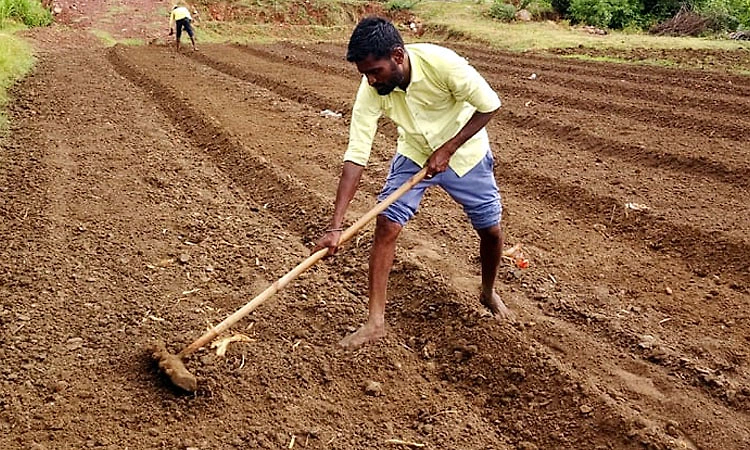 ಬಾರದ ಮಳೆ: ಮೊಳಕೆ ಒಡೆಯದ ಬಿತ್ತಿದ ಬೆಳೆ... ಕಂಗಾಲದ ರೈತರ