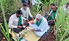 ಧಾರವಾಡ ರೈತರ ಹೊಲದಲ್ಲಿ ಕಾರ ಹುಣ್ಣಿಮೆ ಬುತ್ತಿಯೂಟ ಸವಿದ ಕೇಂದ್ರ ಸಚಿವ ಶೇಖಾವತ್
