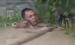 Watch: Assam man risks his life to save calf from neck-deep floodwaters