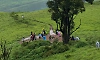 No permission granted for any events in Kudremukh wildlife zone, officials clarify