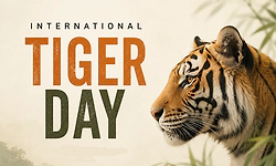 International Tiger Day: The tiger's silent lessons to human,the wisdom the wild still lives by
