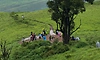ಕುದುರೆಮುಖ ವನ್ಯಜೀವಿ ವಲಯದಲ್ಲಿ ಯಾವುದೇ ಕಾರ್ಯಕ್ರಮಕ್ಕೆ ಸಮ್ಮತಿ ಇಲ್ಲ: ಅಧಿಕಾರಿಗಳ ಸ್ಪಷ್ಟನೆ