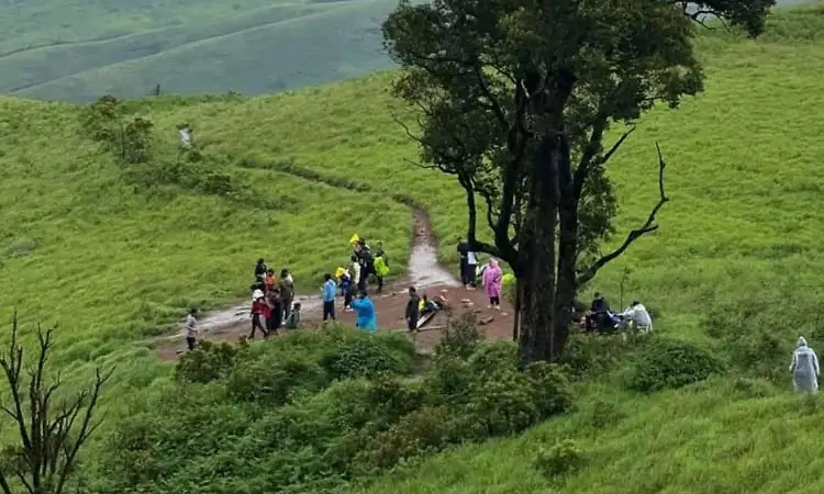 ಕುದುರೆಮುಖ ವನ್ಯಜೀವಿ ವಲಯದಲ್ಲಿ ಯಾವುದೇ ಕಾರ್ಯಕ್ರಮಕ್ಕೆ ಸಮ್ಮತಿ ಇಲ್ಲ: ಅಧಿಕಾರಿಗಳ ಸ್ಪಷ್ಟನೆ