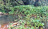 Mulki: ನನಸಾಗದ ಯುಜಿಡಿ ಕನಸು