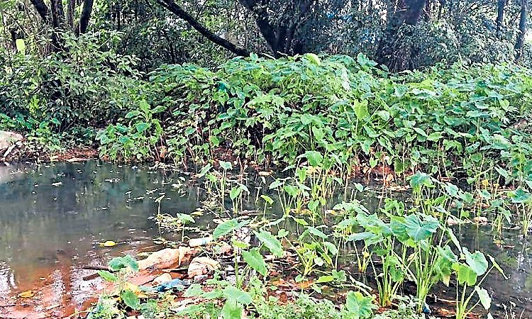 Mulki: ನನಸಾಗದ ಯುಜಿಡಿ ಕನಸು