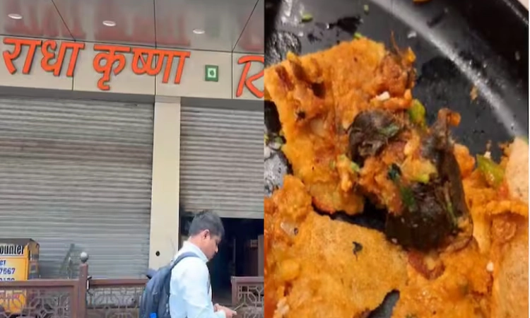Dead rat allegedly found inside Mysore masala dosa!