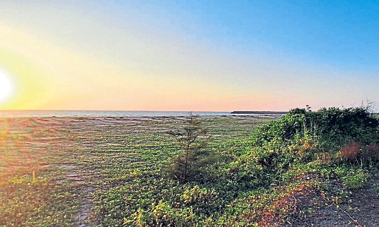 ಮುಂಡ ಬೀಚ್‌: ಸೌಲಭ್ಯಗಳ ಕೊರತೆ