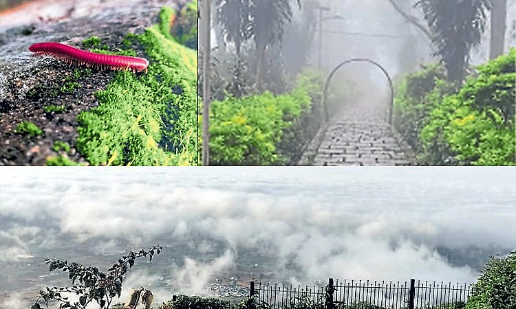 Cold winds, mist and light showers draw heavy tourist footfall to Nandi Hills