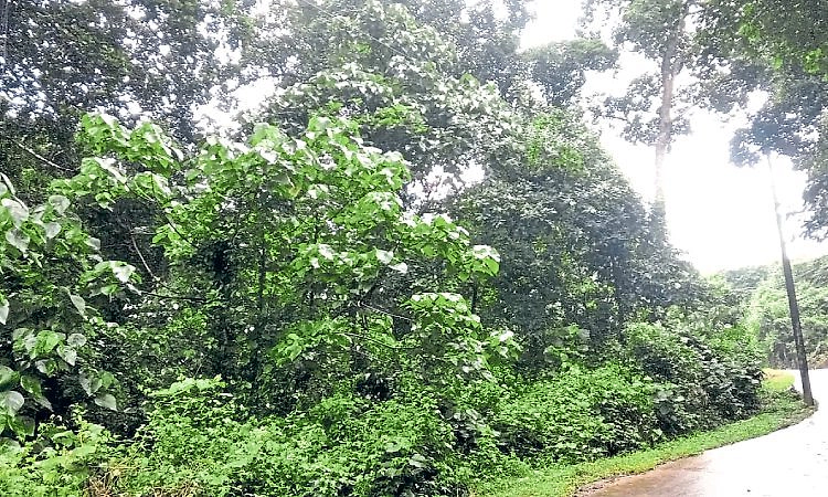 Mangaluru: ಕಡತದಲ್ಲೇ ಉಳಿದ ಜಿ ಪ್ಲಸ್‌ ವಸತಿ!