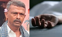 Hunsur: ಹೆಜ್ಜೇನು ದಾಳಿ; ಕೃಷಿಕ ಸಾವು