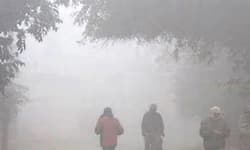 Karkala: ಹೆಚ್ಚಿದ ಚಳಿ: ತೋಟಗಾರಿಕೆ ಬೆಳೆಗಳಿಗೆ ಕಚಗುಳಿ!