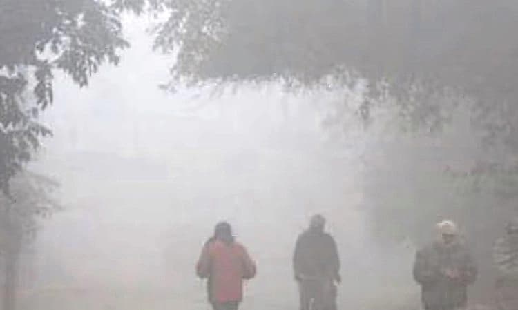 Karkala: ಹೆಚ್ಚಿದ ಚಳಿ: ತೋಟಗಾರಿಕೆ ಬೆಳೆಗಳಿಗೆ ಕಚಗುಳಿ!