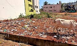 Chamarajanagar: ತ್ಯಾಜ್ಯ ವಿಲೇವಾರಿ ತಾಣವಾದ ನಿವೇಶನಗಳು!