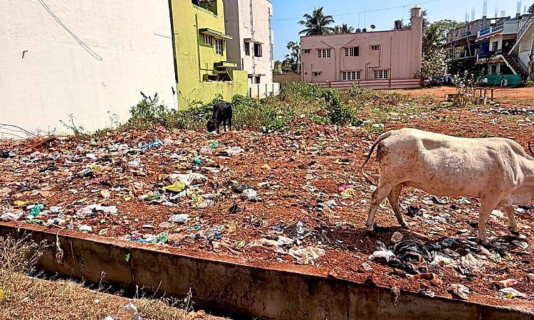 Chamarajanagar: ತ್ಯಾಜ್ಯ ವಿಲೇವಾರಿ ತಾಣವಾದ ನಿವೇಶನಗಳು!