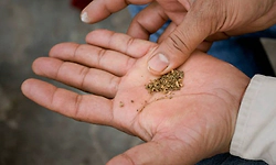 Karnataka bans tobacco ads on buses, bus stands: Minister