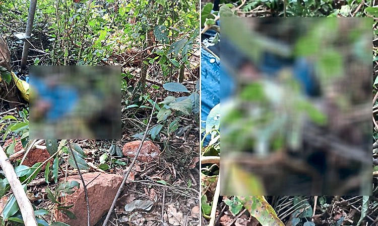 Chikkamagaluru: ವಿದ್ಯುತ್ ತಂತಿ ತಗುಲಿ ಕಾರ್ಮಿಕ ಸ್ಥಳದಲ್ಲೇ ಸಾವು