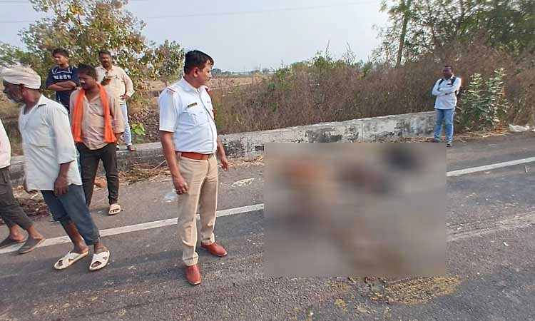 Kalaburagi: ಕಬ್ಬು ತುಂಬಿದ ಲಾರಿ ಹರಿದು 19 ಕುರಿಗಳ ದಾರುಣ ಸಾವು