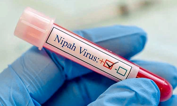 ಭಾರತದಿಂದ ಹೊರಕ್ಕೆ ನಿಫಾ ಹಬ್ಬುವ ಸಾಧ್ಯತೆ ಕಡಿಮೆ: ಡಬ್ಲ್ಯುಎಚ್‌ಒ