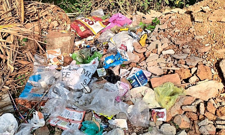 ಗ್ರಾಮ ಪಂಚಾಯಿತಿ ವ್ಯಾಪ್ತಿಯಲ್ಲಿ ಎಲ್ಲೆಂದರಲ್ಲಿ ಕಸದ ರಾಶಿ ಕಣ್ಮುಚ್ಚಿ ಕುಳಿತ ಆಡಳಿತ