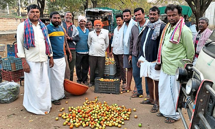Kanakagiri: ಕುಸಿದ ಟೊಮೇಟೊ ದರ; ರೈತರ ಆಕ್ರೋಶ