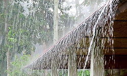 Mangaluru: Rain likely for another week; yellow alert on coast till April 2