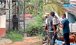 Bear captured inside Shivamogga airport premises