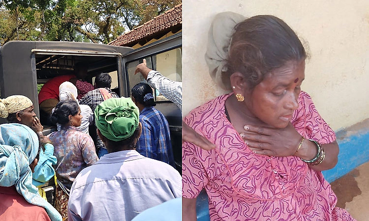 Woman escapes narrowly from wild elephant attack in Chikkamagaluru