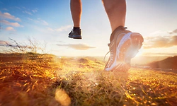 Short bouts of vigorous activity daily could lower risk of 8 major conditions: Study