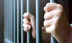 ಸಂಚಾರ, ಮಾಲಿನ್ಯದ ನಿಯಮ ಉಲ್ಲಂಘನೆಗೆ ಜೈಲು ಶಿಕ್ಷೆ ರದ್ದು?