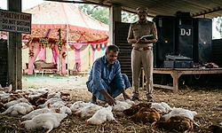 UP: DJ booked after loud wedding music 'scares' 140 chickens to death