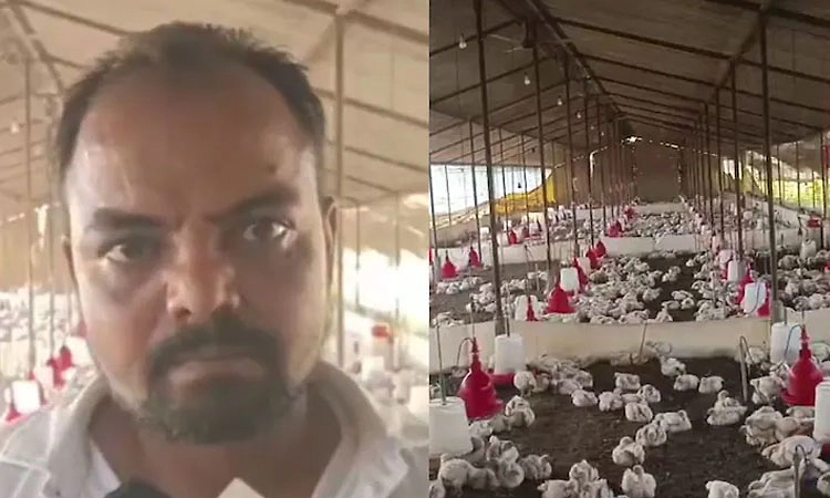 ಮದುವೆ ಮನೆಯ ಡಿಜೆ ಅಬ್ಬರಕ್ಕೆ 140 ಕೋಳಿಗಳ ಸಾವು: ಕೇಸ್ ದಾಖಲಿಸಿದ ಮಾಲಿಕ