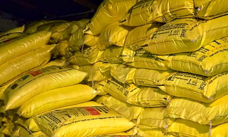 ಕೃಷಿ ಅಧಿಕಾರಿಗಳ ಭರ್ಜರಿ ದಾಳಿ! ಚಿಕ್ಕಮಗಳೂರಿನಲ್ಲಿ ಅಕ್ರಮ ಯೂರಿಯಾ ದಾಸ್ತಾನು ಪತ್ತೆ!