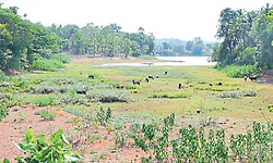 ಹೊಸಂಗಡಿ ಕೋಟೆಕೆರೆಗೆ ಜೀವ ತುಂಬಬೇಕಿದೆ