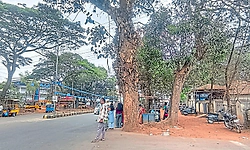 ಸ್ವರಾಜ್ಯ ಮೈದಾನ ಬಳಿ ಬಸ್‌ ತಂಗುದಾಣವಿಲ್ಲದೆ ಪರದಾಟ