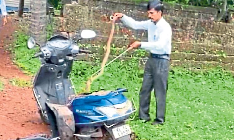 Kasaragod; ಹಾವು ಕಂಡರೆ ಹೆದರಬೇಡಿ, ಬರುತ್ತಾರೆ ಸರ್ಪ ಸ್ವಯಂಸೇವಕರು!