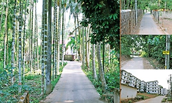 Udupi: ಸರಳೇಬೆಟ್ಟಿನಲ್ಲಿ ಬದುಕು ಸರಳವಾಗಿಲ್ಲ!