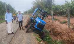 Leopard suddenly crosses road, tractor falls into ditch in Bharamasagara