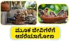 Pets: ಮೂಕ ಜೀವಿಗಳಿಗೆ ಆಸರೆಯಾಗೋಣ