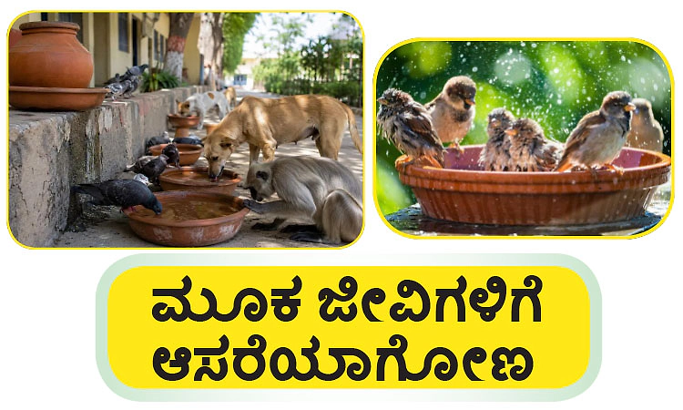 Pets: ಮೂಕ ಜೀವಿಗಳಿಗೆ ಆಸರೆಯಾಗೋಣ