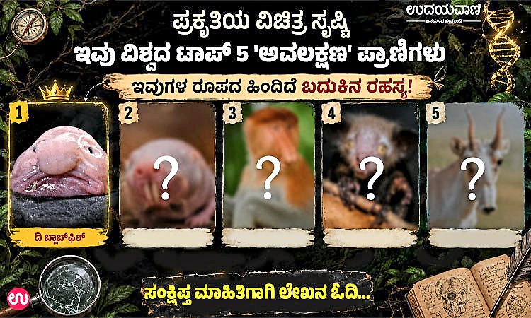 ವಿಚಿತ್ರ ಸೃಷ್ಟಿ: ವಿಶ್ವದ ಟಾಪ್ 5 ಅವಲಕ್ಷಣ ಪ್ರಾಣಿಗಳು; ರೂಪದ ಹಿಂದಿದೆ ಬದುಕಿನ ರಹಸ್ಯ
