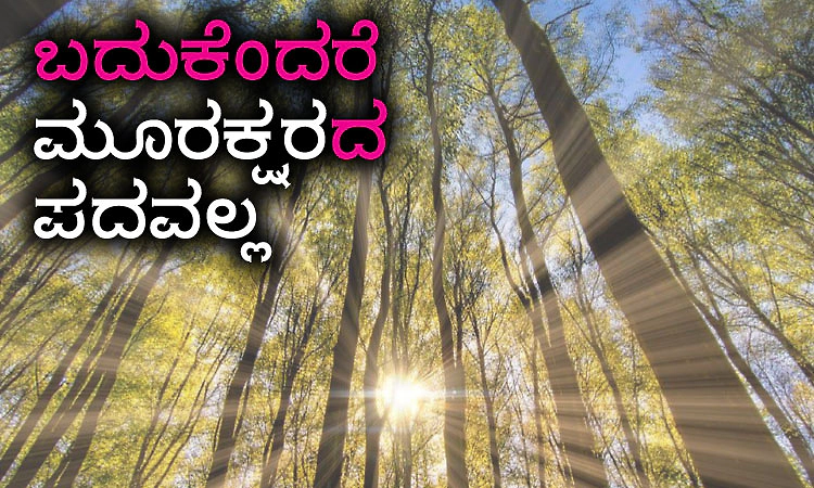 Life: ಬದುಕೆಂದರೆ ಮೂರಕ್ಷರದ ಪದವಲ್ಲ