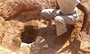 4-year-old child falls into 220-ft deep borewell in Ambala; rescue operations on