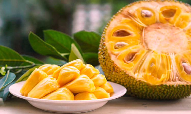 7 health benefits of jackfruit seeds and easy ways to add them to your diet