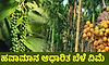 ಹವಾಮಾನ ಆಧಾರಿತ ಬೆಳೆ ವಿಮಾ ಯೋಜನೆ ನೋಂದಣಿಗೆ ಮನವಿ