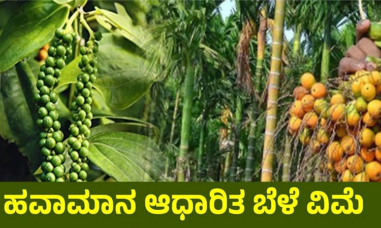 ಹವಾಮಾನ ಆಧಾರಿತ ಬೆಳೆ ವಿಮಾ ಯೋಜನೆ ನೋಂದಣಿಗೆ ಮನವಿ