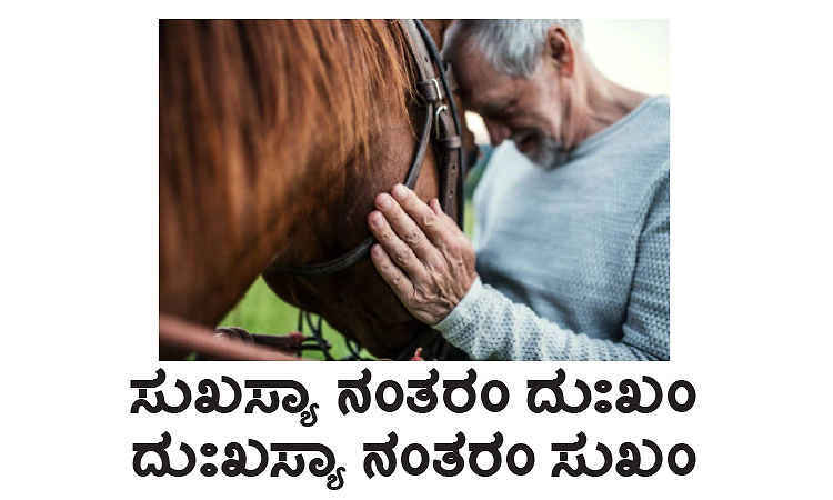 Happiness: ಸುಖಸ್ಯಾ ನಂತರಂ ದುಃಖಂ ದುಃಖಸ್ಯಾ ನಂತರಂ ಸುಖಂ
