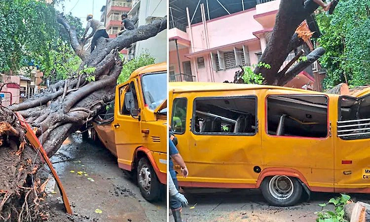 School Bus: ಶಾಲಾ ಬಸ್ಸಿನ ಮೇಲೆ ಬಿದ್ದ ಮರ... ಓರ್ವ ವಿದ್ಯಾರ್ಥಿ ಮೃತ್ಯು, ನಾಲ್ವರಿಗೆ ಗಾಯ!