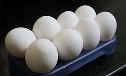 ಮೊಟ್ಟೆ ಬೆಲೆ 9 ರೂ. ಏರಿಕೆ: ಶಾಲೆ ಶಿಕ್ಷಕರಿಗೆ ತಲೆನೋವು  