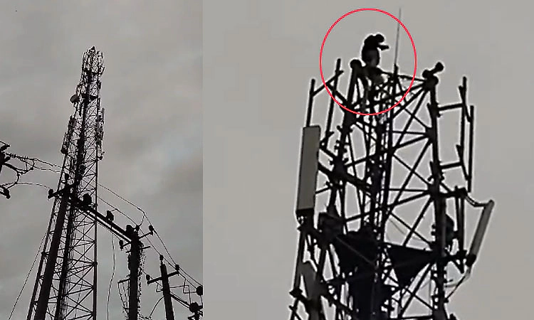 Raichur: Man climbs mobile tower after alleged rejection by woman he loved